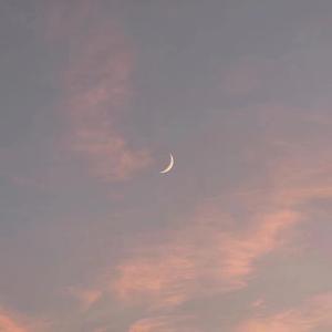 双男主gai做爱免费观看
