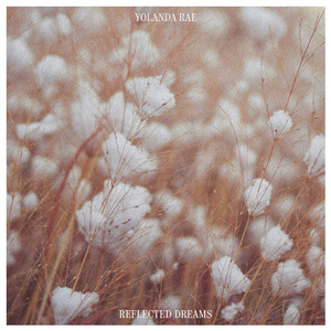 双男主gai做爱免费观看
